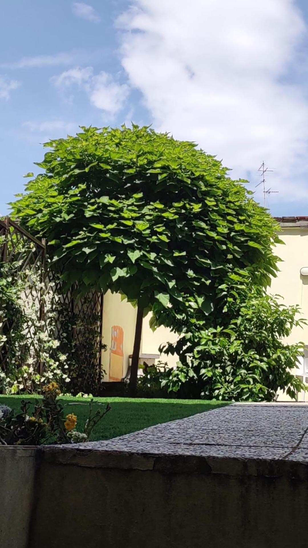 Movie Star Apartment With Garden Florence Exterior photo